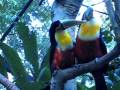 videos de 202.AVI