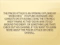 Chess - Exploring the Pincer Attack (Game 1)