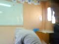 sape al borrego
