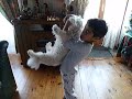 ThÃ©o et son chien