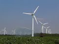 ????????Wind Turbine Farm, Sandager, Denmark ????????Wind Turbine Farm, Sandager, Denmark