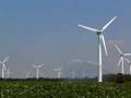 丹麥風力發電風車Wind Turbine Farm, Sandager, Denmark