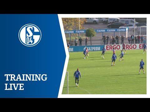 FC Schalke 04 - Training Live (13.11.)