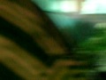 ZOO