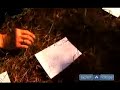 how-to-track-mammals-how-to-track-gray-squirrels.html