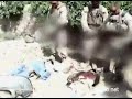 Видеоновость США. Пентагон разбирается с морпехами, осквернившими тела убитых талибов