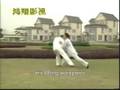 Tai Chi Combat.