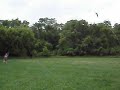 Go Fly a Kite Go Fly a Kite