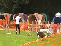 17.09.2011 dhv-DM beim VdH Dreieich-Offenthal