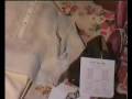 videos de THE WEDDING OF J- ARE & ICHEE PART 1b