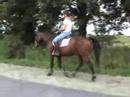 Balade chevaux