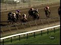 1995 Preakness Stakes - Timber Country 1995 Preakness Stakes - Timber Country