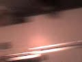 cat jump