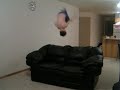 crazy-kid-flips.html