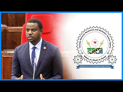 WAZIRI BASHUNGWA AITAKA TEMESA KUJIENDESHA KIBIASHARA