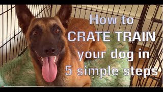 Crate training? Why? When and How?