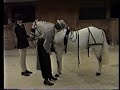 Carriage Driving - Basic Driving 3 Carriage Driving - Basic Driving 3