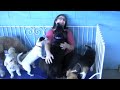 Paddington Pups - Bree.m4v