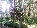 acro branche