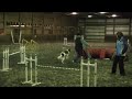 My Movie-1/1