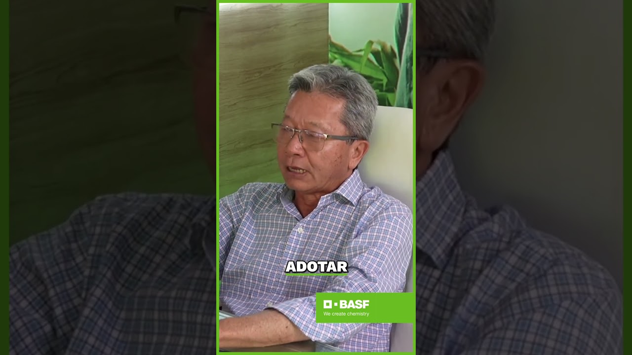 Algodão: Maximizando Potencial Produtivo com Consultoria #BASF