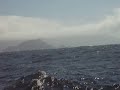 Solander Island, Brooks Penninsula