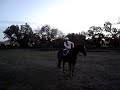 lol...Lauren and I get bored and hv to make it fun :) p.s. We werent jerking on the horses mouth or kicking them like it looks like we were..at the beginning though when i went to make Moon walk from the halt..i just took my leg off and flapped it around off of him and he was like 