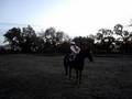 Professional Riding!..hahahahaha