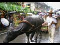 Lucban Part 2 summer 2008