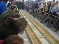 Belt Sander Race 1