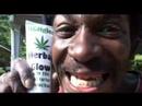 Herbal Glow Herbal Glow