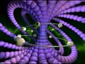videos de NonTheta
