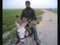 videos de ane-kabyle-toutes-options.mpg