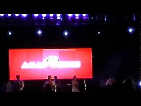 agapornis -