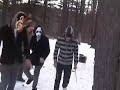 Bekijk muziek clip van Animal Collective met We Tigers