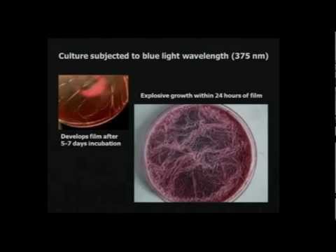 HAARP - How They Are Changing you . . . Cells and DNA . . . Against your will . . . This explains clearly what they are doing Chemtrails and nanotechnology are chang...