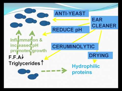 how to cure otitis externa