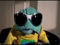 FurTV - Ladies Love Lapeno