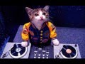 Just fuck! -Dj Malibú~ By:Rociieteh