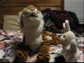 Bunny Buddy ep. 4