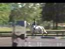 Horse for sale, 16.1 h. NZTB G., Eventer/Jumper