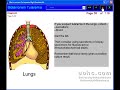 Bioterrorism Tularemia Bioterrorism Tularemia