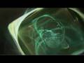 Imagining the Omniverse