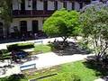 videos de yo