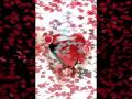 احمد برادا نسيني.wmv
