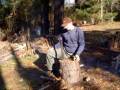 Fatwood