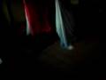 videos de dança do ventre6