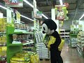 THE CAT - REMI GAILLARD THE CAT - REMI GAILLARD