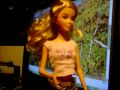 Barbie Vlog-Politics and Global Warming