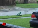 Gustav No Katrina; Fizzles After Coming Ashore